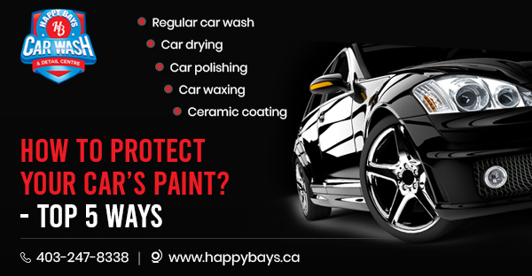 A Professional Guide to Protect Your Car's Paint