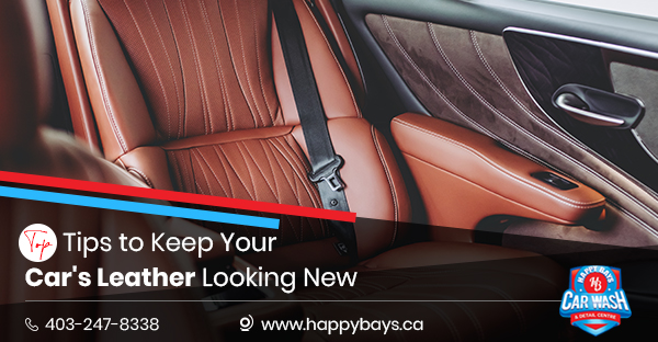 car interior cleaning in Calgary